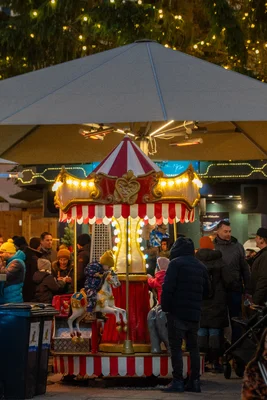 LWM25_BlackWings 187.jpg