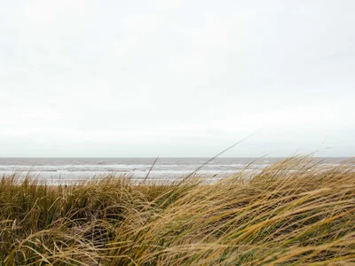 Dünengras im Vordergrund, dahinter das Meer unter einem grauen Himmel.
