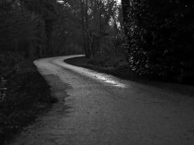 Eine kurvige Straße führt durch einen dunklen Wald in Schwarzweiß.