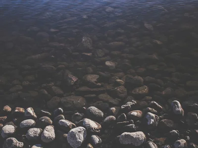 Steine liegen am Ufer unter klarem, dunklem Wasser.