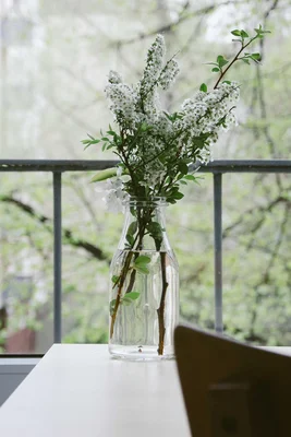 Ein Strauß weißer Blüten in einer Glasflasche auf einem Tisch vor einem Fenster.